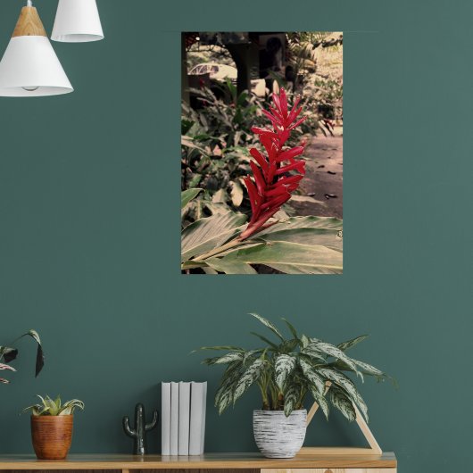 Alpínia purpurata 5 poster (Wohnzimmer 1)