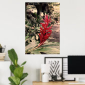 Alpínia purpurata 5 poster (Heimbüro)