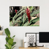 Alpínia purpurata poster (Heimbüro)