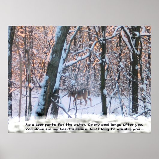 Als das Hirsch für das Wasser sprießt ... Poster (Vorne)