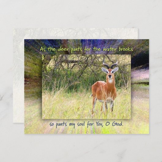 Als das Hirsch für das Wasser sprießt.. Postkarte (Vorne/Hinten)