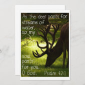 Als die Rotwild-Einladung Einladung (Vorne/Hinten)