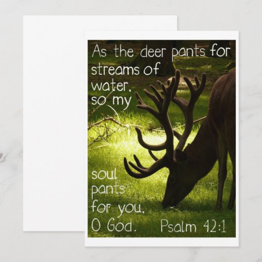 Als die Rotwild-Einladung Einladung (Vorne/Hinten)