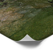 Als Dinosaurier umhallten Poster (Ecke)