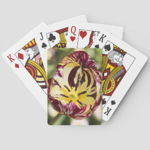 Als du einen Tulip hattest Spielkarten
