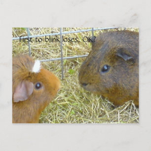 Als Erstes zu blinken verliert, OK? Postkarte