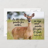 Als Hirschhose für Wasser, Bibel Psalm 42 Custom Postkarte (Vorne/Hinten)