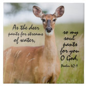 Als Hirschhose für Wasser Bibel Verse Psalm 42:1 Fliese (Vorderseite)