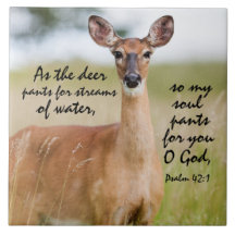 Als Hirschhose für Wasser Bibel Verse Psalm 42:1