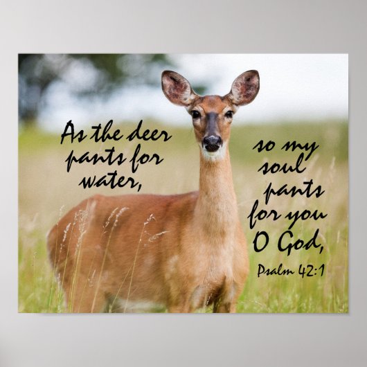 Als Hirschhose für Wasser Bibel Verse Psalm 42:1 Poster (Vorne)