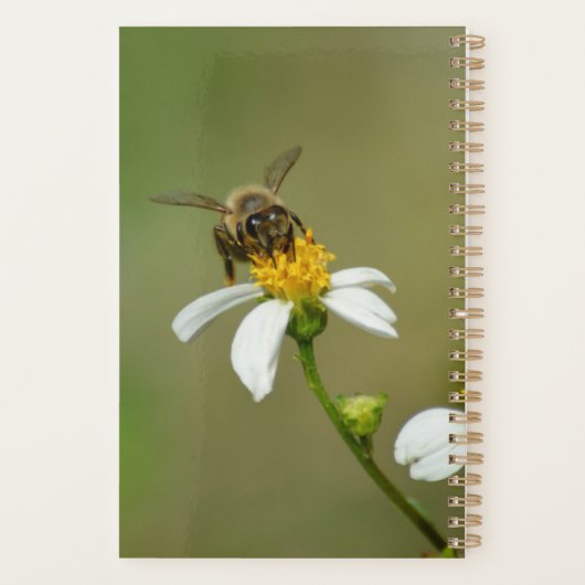 Als Honigbiene beschäftigt Planer (Rückseite)