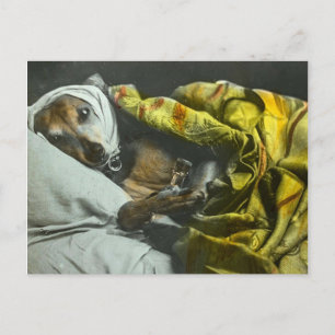 Als Hund tauchen bald Vintag magische Laterne auf Postkarte