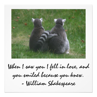 Als ich dich sah, fiel ich in Liebe - Liebe Lemur Fotodruck