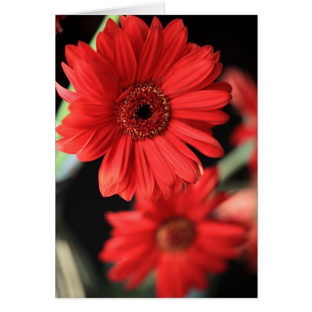 Als ich eine Affäre hatte (Vorne)