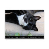 Als Jaded ermutigend Cat Advice Slogan Magnet (Horizontal)