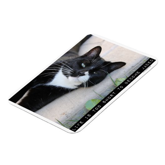 Als Jaded ermutigend Cat Advice Slogan Magnet (Linke Seite)