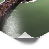 Als kleiner Hummingbird Fotodruck (Ecke)