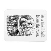 Als Regel befolge ich die Regeln nicht Magnet (Horizontal)