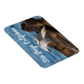 Als Tern fliegt San Diego, Kalifornien Magnet (Rechte Seite)