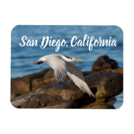 Als Tern fliegt San Diego, Kalifornien Magnet