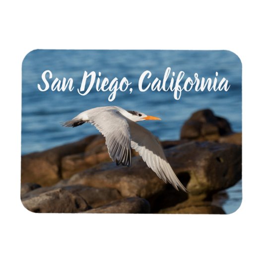 Als Tern fliegt San Diego, Kalifornien Magnet (Horizontal)