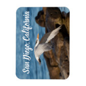 Als Tern fliegt San Diego, Kalifornien Magnet (Vertikal)