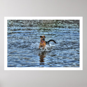 Alsatianischer Deutscher Schäferhund 1 Dog-Liebhab Poster