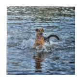 Alsatianisches Dogleiher Fliese (Vorderseite)