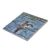 Alsatianisches Dogleiher Fliese (Seite)