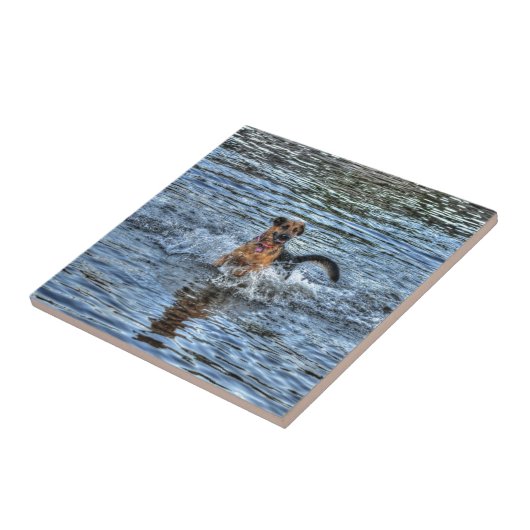 Alsatianisches Dogleiher Fliese (Seite)