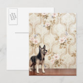 Alsationshund Postkarte (Vorne/Hinten)
