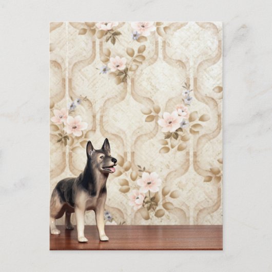 Alsationshund Postkarte (Vorderseite)