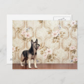 Alsationshund Postkarte (Vorne/Hinten)