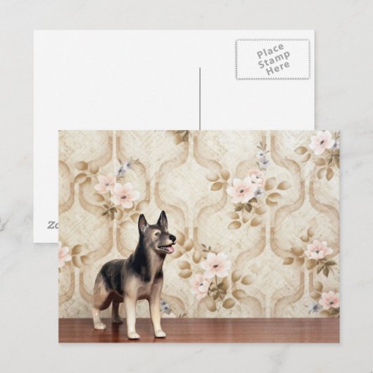 Alsationshund Postkarte (Vorne/Hinten)