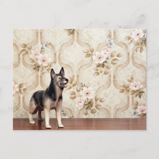 Alsationshund Postkarte (Vorderseite)