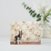 Alsationshund Postkarte (Stehend Vorderseite)