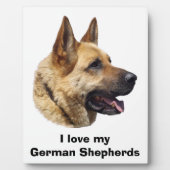 Alsatisches Schäferhundportrait Fotoplatte (Vorderseite)