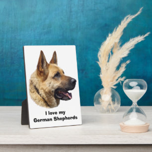 Alsatisches Schäferhundportrait Fotoplatte