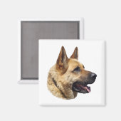 Alsatisches Schäferportrait Magnet (Vorderseite/Rückseite)