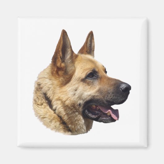 Alsatisches Schäferportrait Magnet (Vorne)