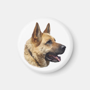 Alsatisches Schäferportrait Magnet