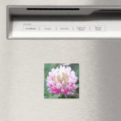 Alsike Clover Blossom 1 Magnet (In Situ (Geschirrspüler))
