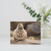 Also bin ich ein bisschen Kurz für mein Gewicht Postkarte (Stehend Vorderseite)