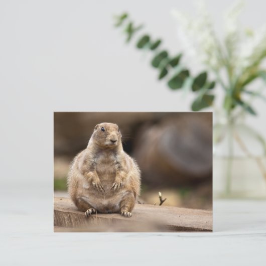 Also bin ich ein bisschen Kurz für mein Gewicht Postkarte (Stehend Vorderseite)