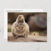 Also bin ich ein bisschen Kurz für mein Gewicht Postkarte (Vorne/Hinten)