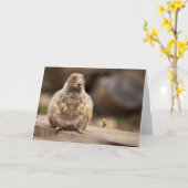 Also bin ich ein bisschen Kurz für meine Gewichtka Karte (Gelbe Blume)