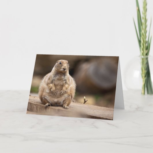 Also bin ich ein bisschen Kurz für meine Gewichtka Karte (Vorderseite)