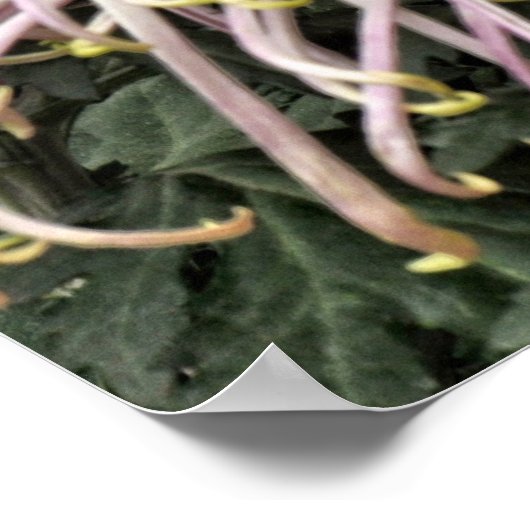 Also bleibe Paul anderthalb Jahre Poster (Ecke)