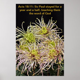 Also bleibe Paul anderthalb Jahre Poster