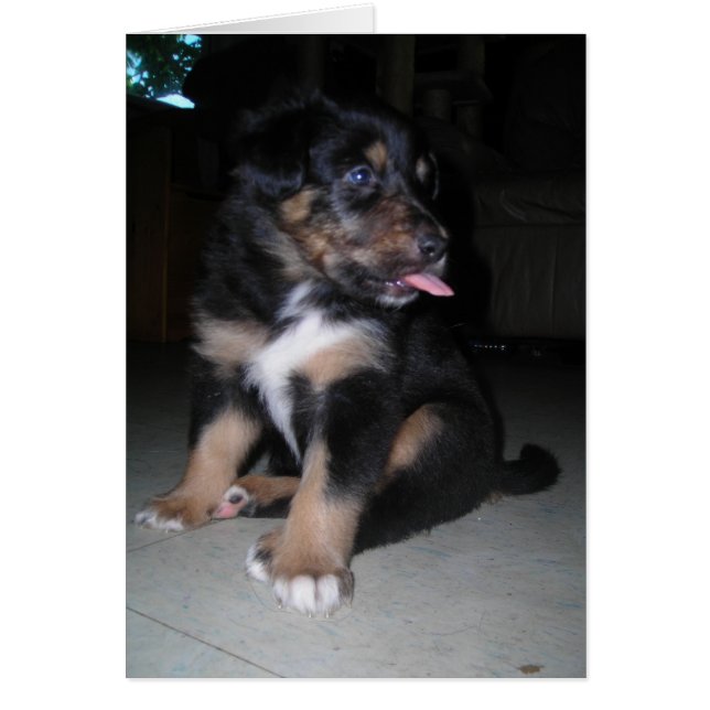 Also da! Himbeere (Vorne)